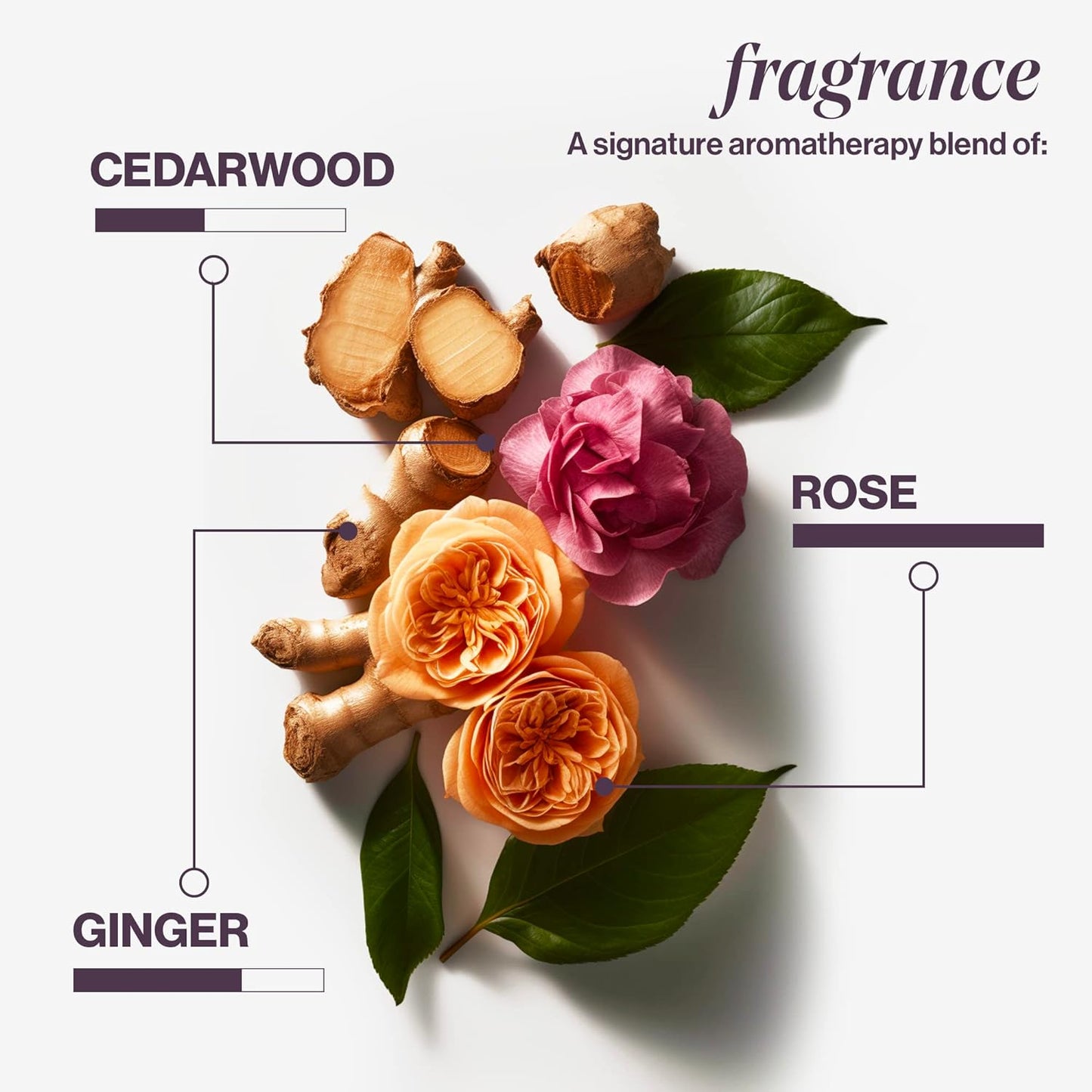 Aromatherapy blend featuring cedarwood, ginger, and rose, highlighting natural fragrance ingredients.