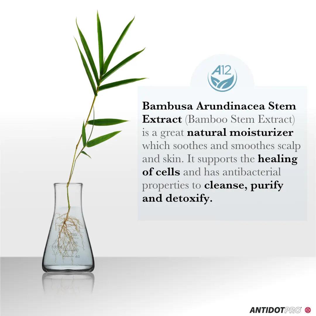 Bamboo stem extract in a glass vase, highlighting its moisturizing and healing properties for scalp and skin care.
