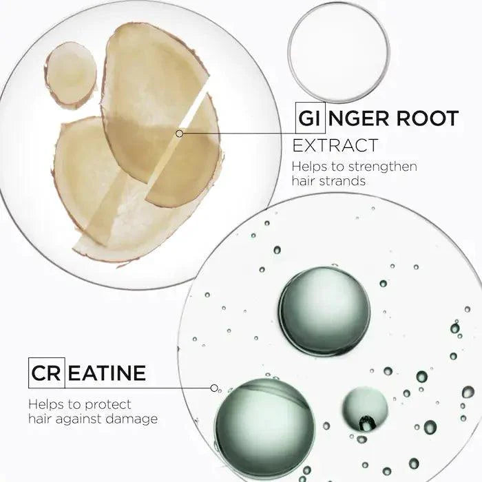 Ginger root extract and creatine molecules highlighting benefits for strengthening and protecting hair strands.