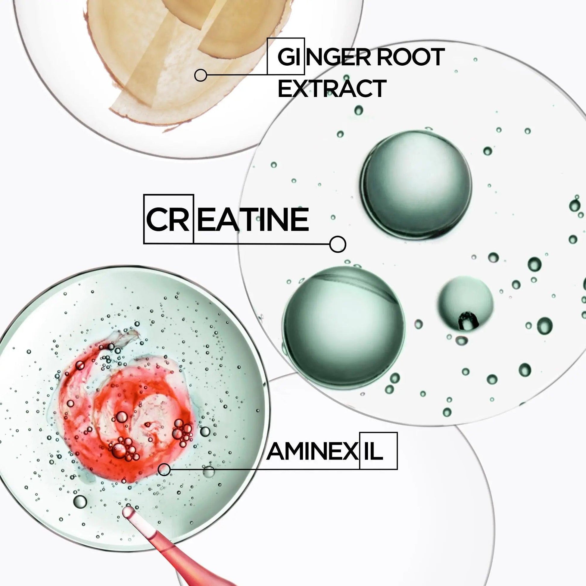 Close-up of key ingredients in Kérastase Genesis Homme serum: ginger root extract, creatine, and aminexil in liquid bubbles.