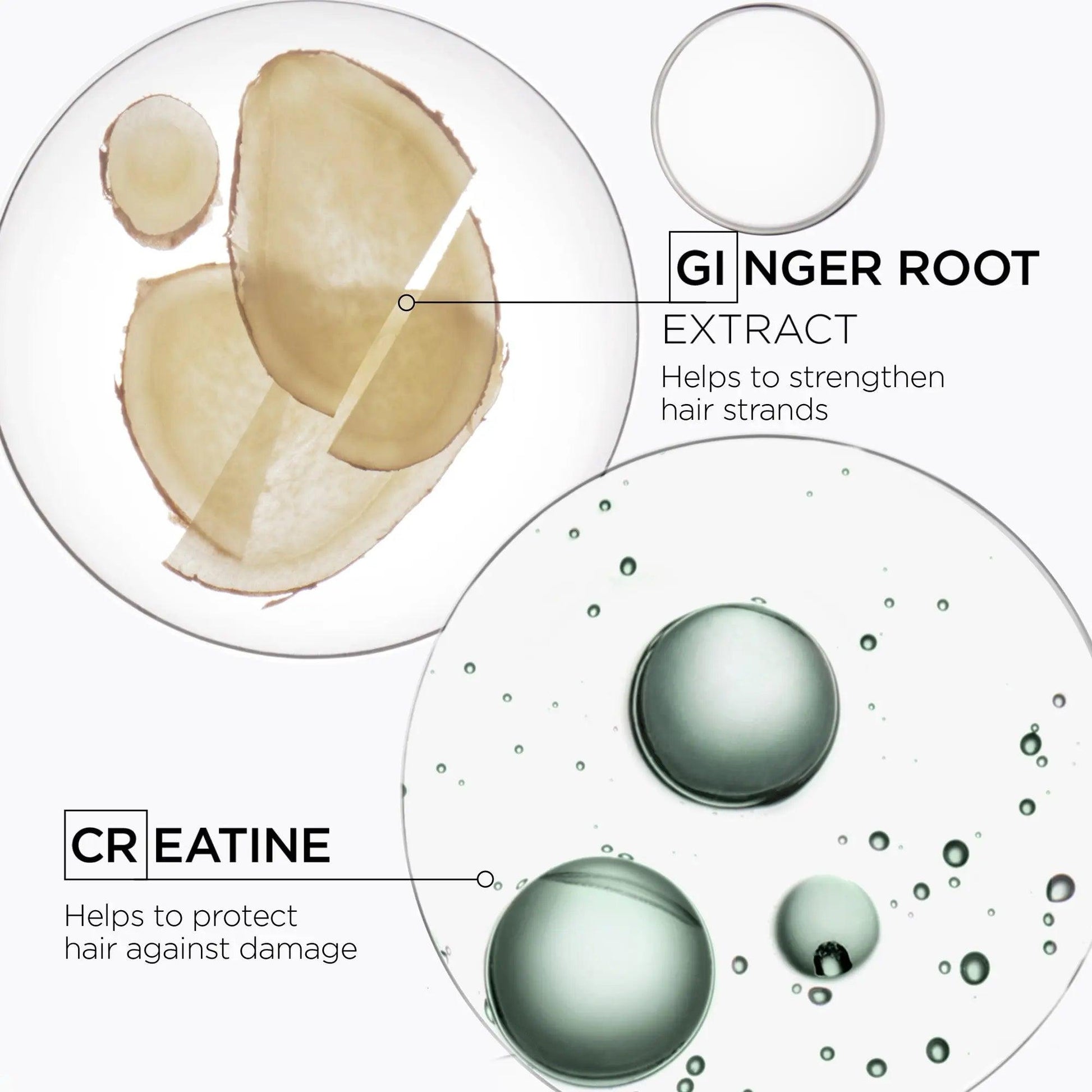 Ginger root extract and creatine images highlighting benefits for strengthening and protecting hair against damage.
