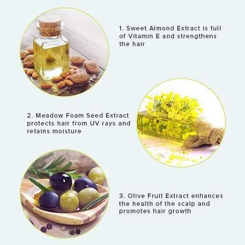 Infographic highlighting benefits of Sweet Almond, Meadow Foam Seed, and Olive Fruit Extracts for hair health.