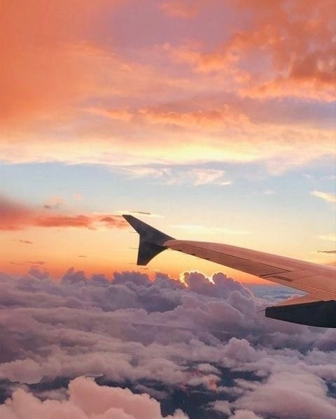 Paradise