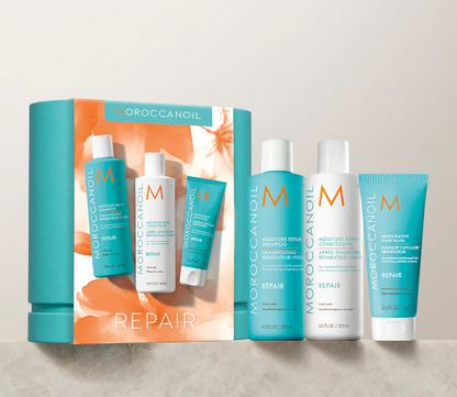 Repair and Restore Spring Set