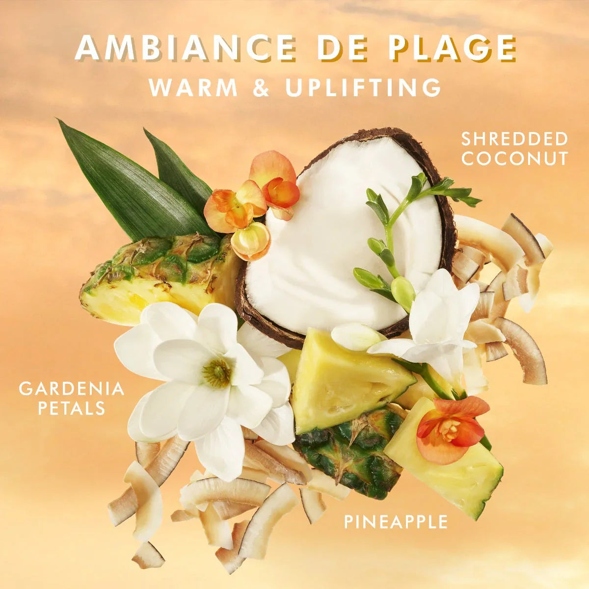 Ambiance De Plage Body Lotion