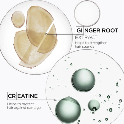 Ginger root extract and creatine images highlighting benefits for strengthening and protecting hair against damage.