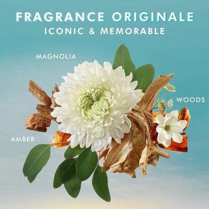 Floral and wood elements representing the Original Scented Shower Gel fragrances: magnolia, amber, and woods.