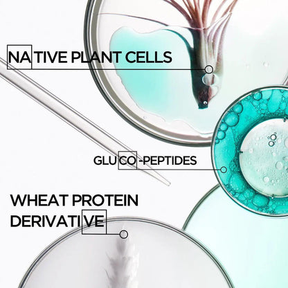 Image of hair care ingredients showcasing Native Plant Cells, Gluco-Peptides, and Wheat Protein Derivative in petri dishes.