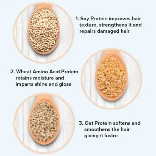 Soy, wheat amino acid, and oat proteins for repairing hair texture and enhancing shine, moisture, and softness.