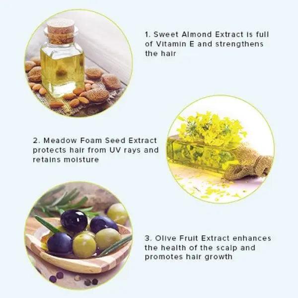 Infographic showcasing hair care benefits of Sweet Almond Extract, Meadow Foam Seed Extract, and Olive Fruit Extract.